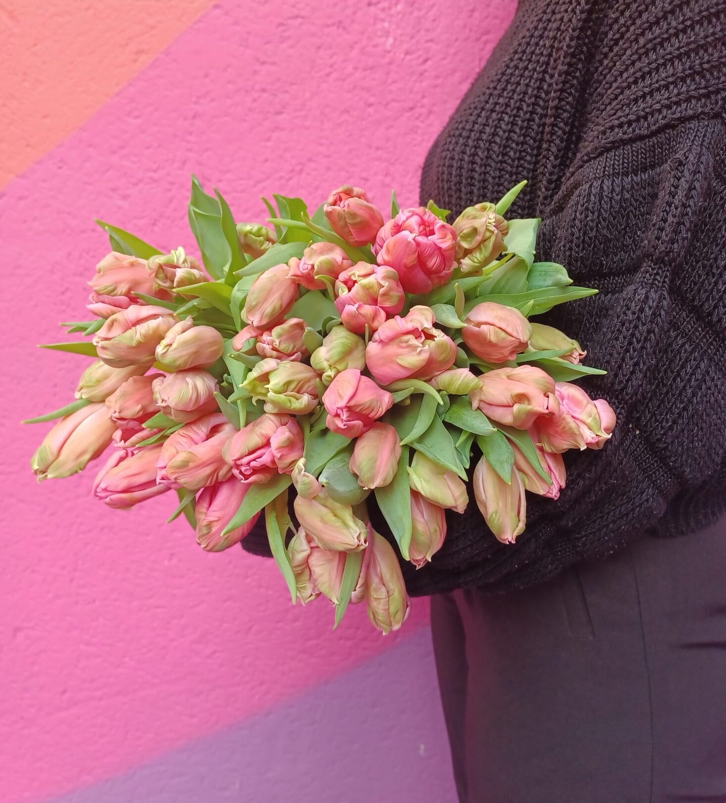 BOUQUET DE TULIPES