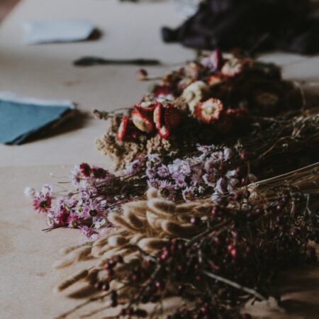 annie-spratt-Nxv4mpkTsCk-unsplash annie-spratt-Nxv4mpkTsCk-unsplash