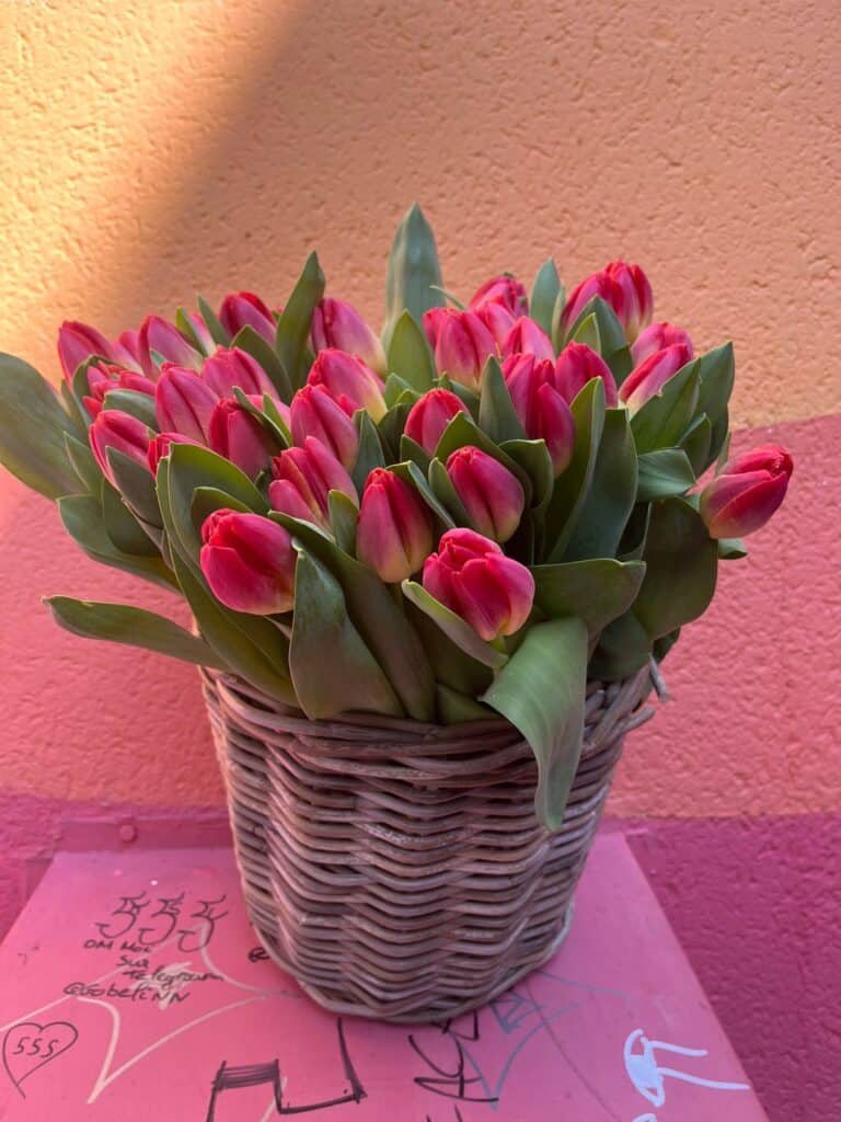 bouquet de tulipes livraison de fleurs sur Le Mans