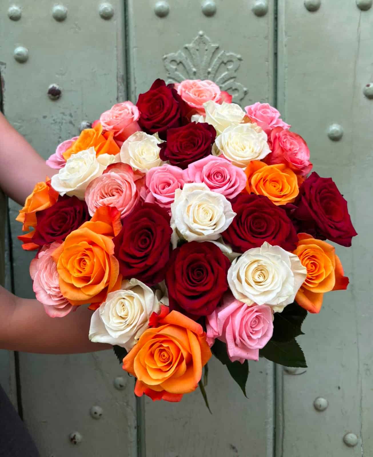 Roses multicolores