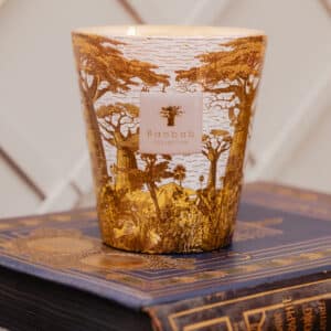 baobab bougie livraison le Mans