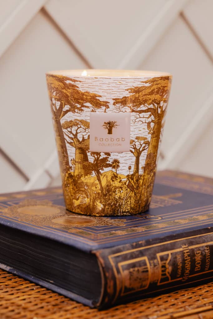 baobab bougie livraison le Mans